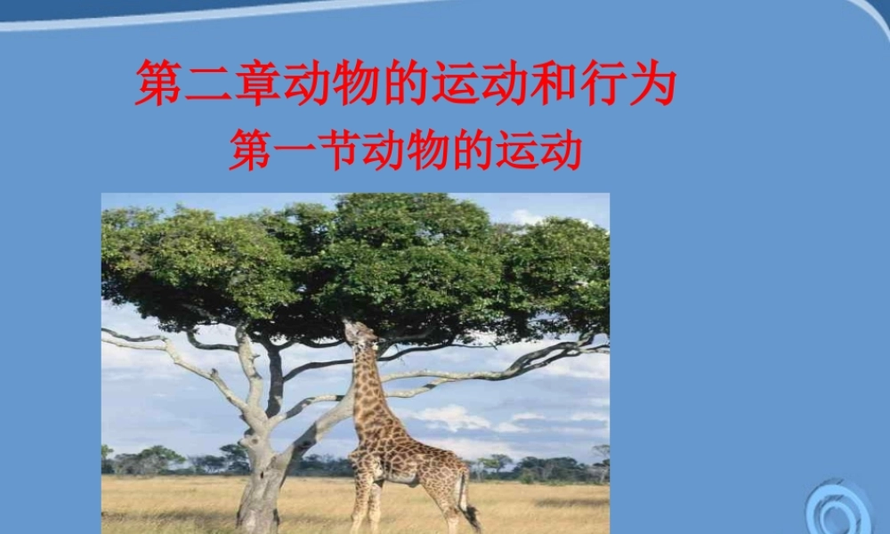 八年级生物上册 第一节动物运动课件 人教新课标版 课件