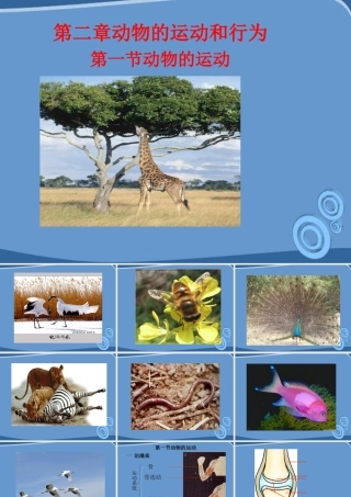 八年级生物上册 第一节动物运动课件 人教新课标版 课件