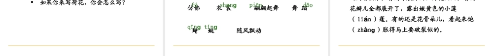 人教版小学语文三年级下册《荷花》课件 (2)