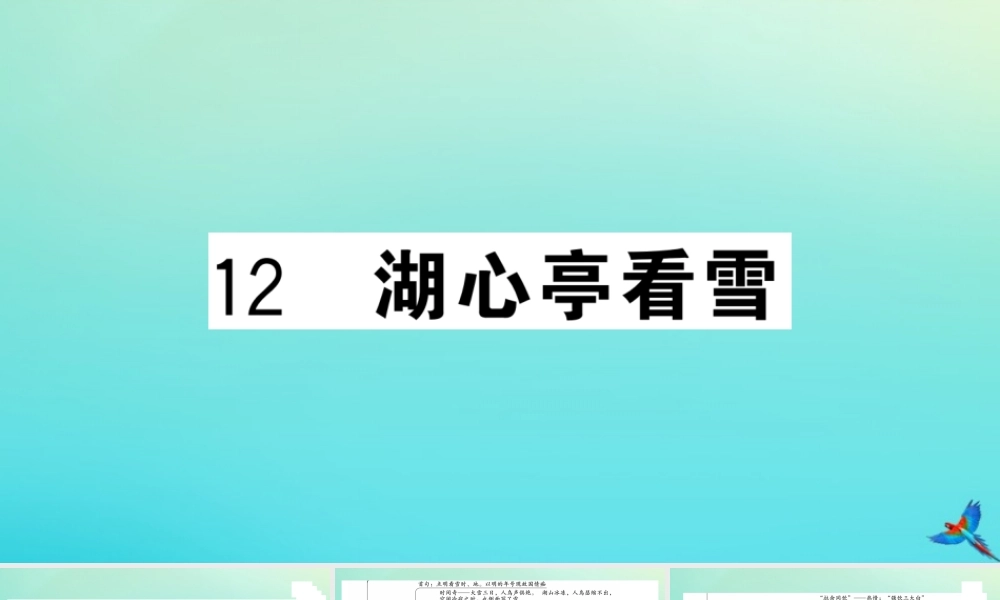 九年级语文上册 第三单元 12 湖心亭看雪作业课件 新人教版 课件