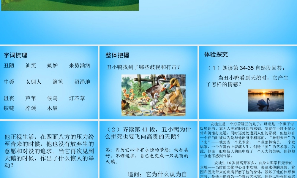 中学七年级语文下册 3 丑小鸭课件 新人教版 课件