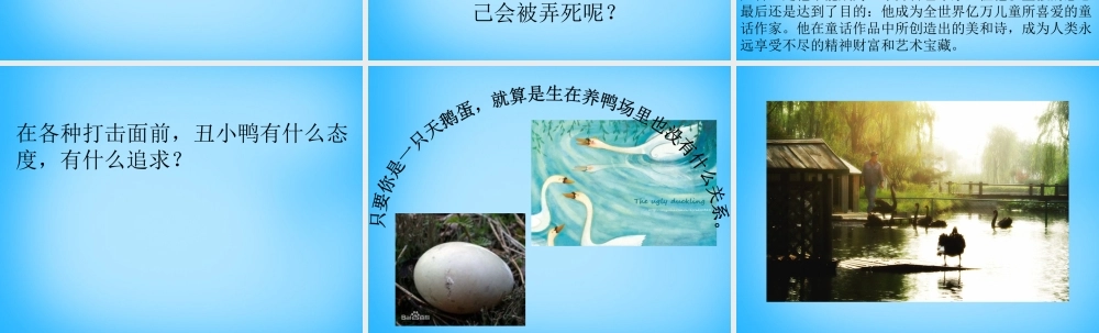 中学七年级语文下册 3 丑小鸭课件 新人教版 课件