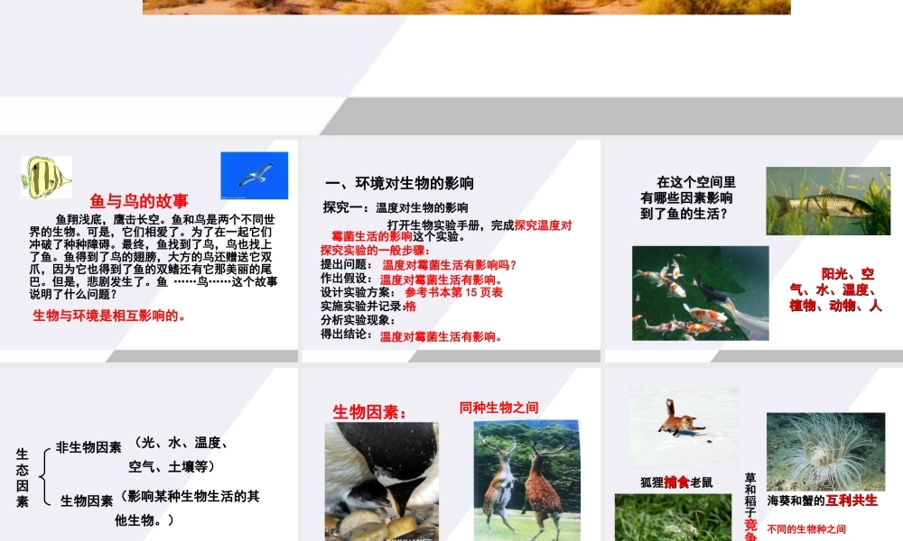 七年级生物上册 生物与环境的相互影响课件 北师大版 课件