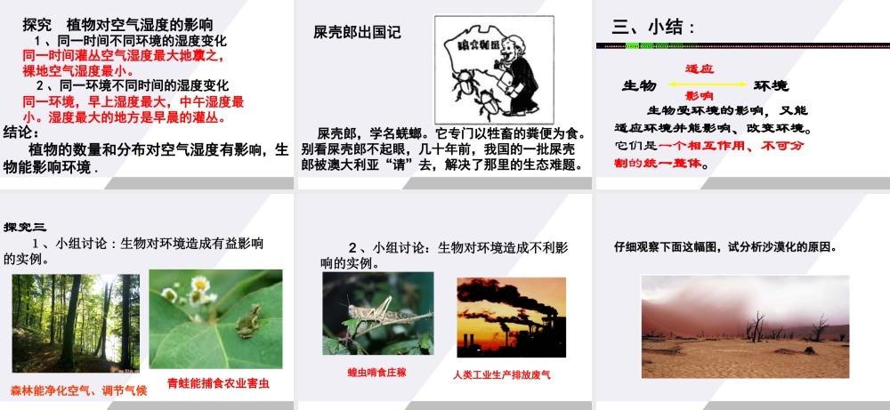 七年级生物上册 生物与环境的相互影响课件 北师大版 课件