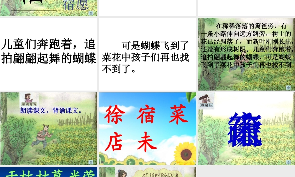 古诗2宿新市徐公店