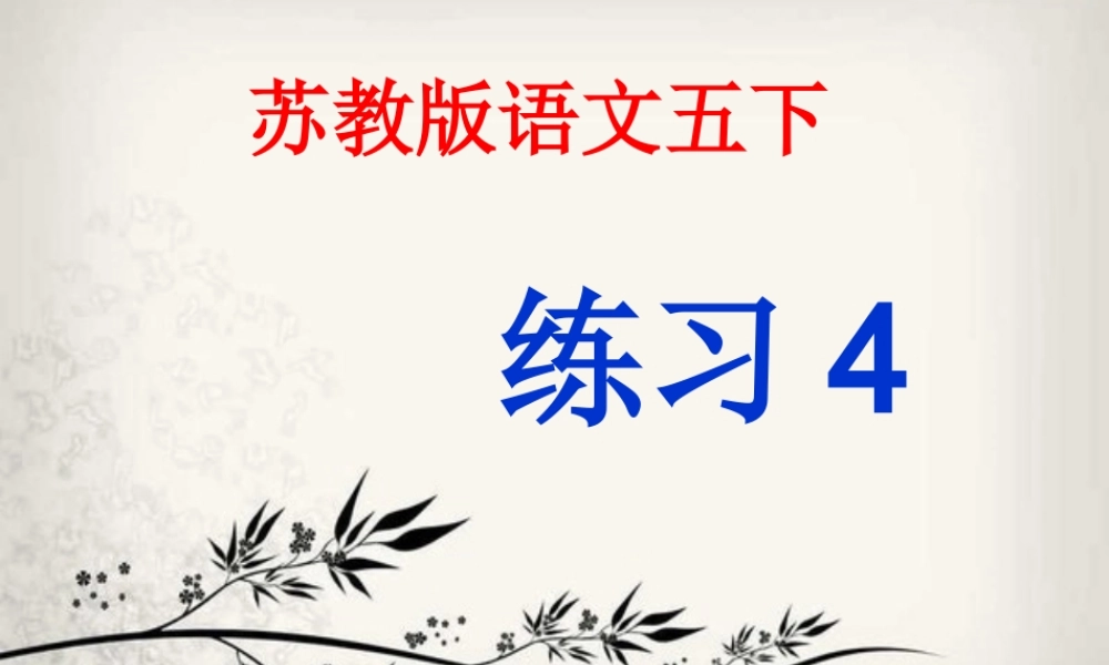苏教版五年级下册练习4课件