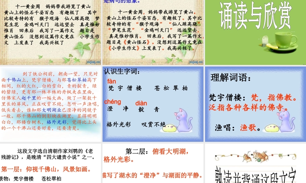 苏教版五年级下册练习4课件