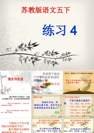 苏教版五年级下册练习4课件