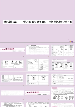 中考化学总复习 第二轮 专题训练 提升能力 专题五 气体的制取检验与净化课件