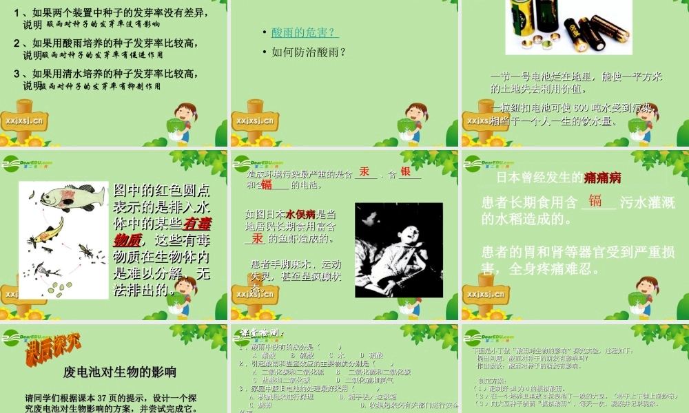 探究环境污染对生物的影响 七年级生物下册 第四单元第七章第二节探究环境污染对生物的影响课件 人教版