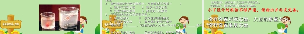 探究环境污染对生物的影响 七年级生物下册 第四单元第七章第二节探究环境污染对生物的影响课件 人教版