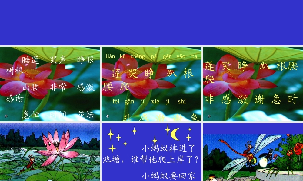 《夏夜多美》课件11()