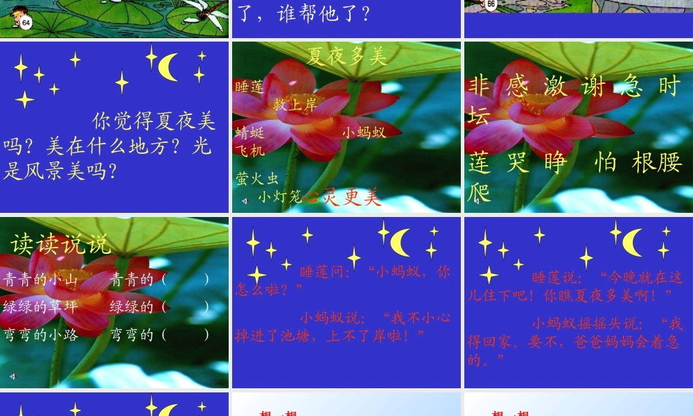 《夏夜多美》课件11()