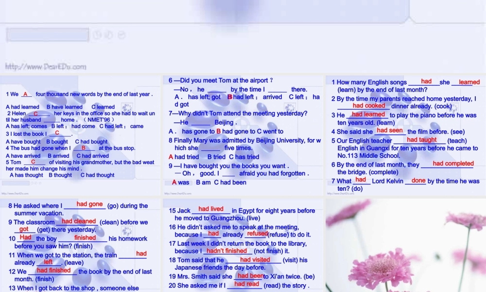 广东省佛山地区初三英语复习过去完成时 课件