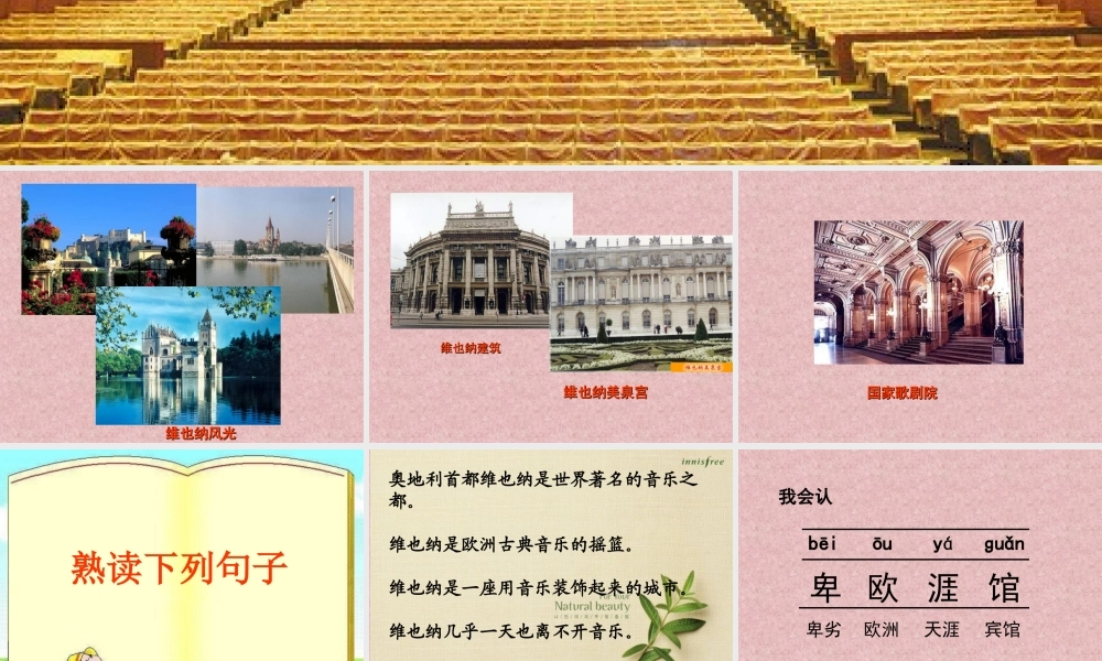 《音乐之都维也纳》课件