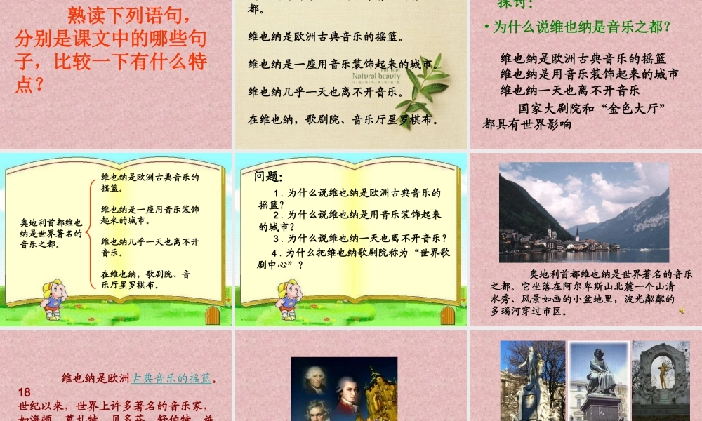 《音乐之都维也纳》课件