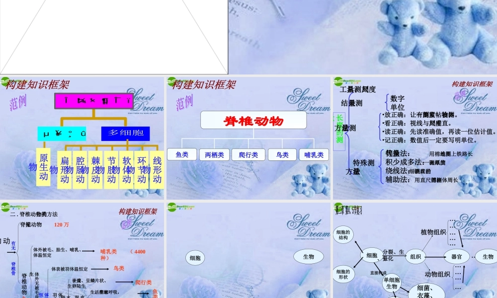 七年级科学上册 第二章第四五节复习课件 浙教版 课件
