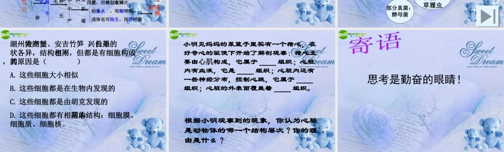 七年级科学上册 第二章第四五节复习课件 浙教版 课件