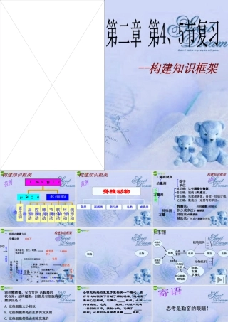 七年级科学上册 第二章第四五节复习课件 浙教版 课件