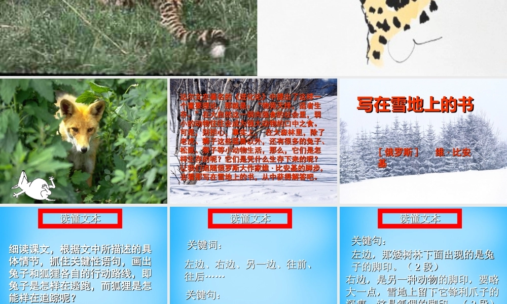 七年级语文上册 第四单元 第写在雪地上的书)课件 鄂教版 课件