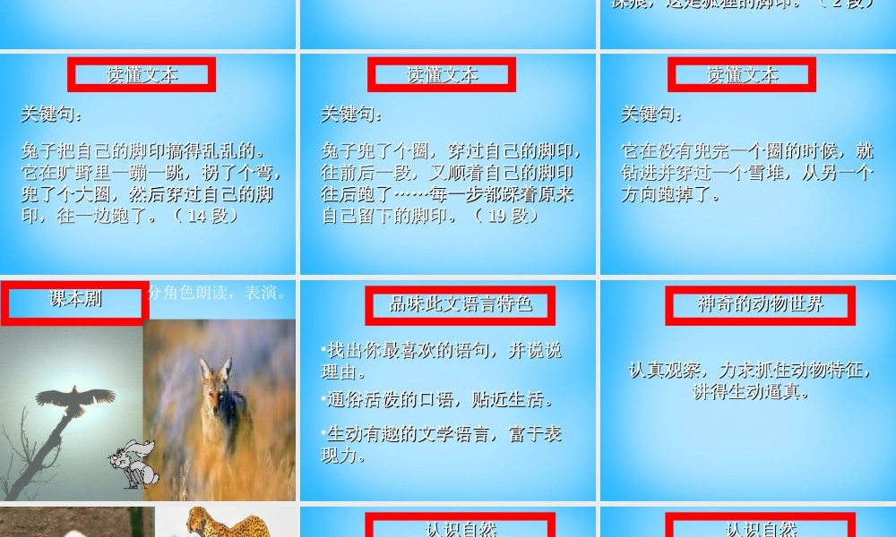 七年级语文上册 第四单元 第写在雪地上的书)课件 鄂教版 课件