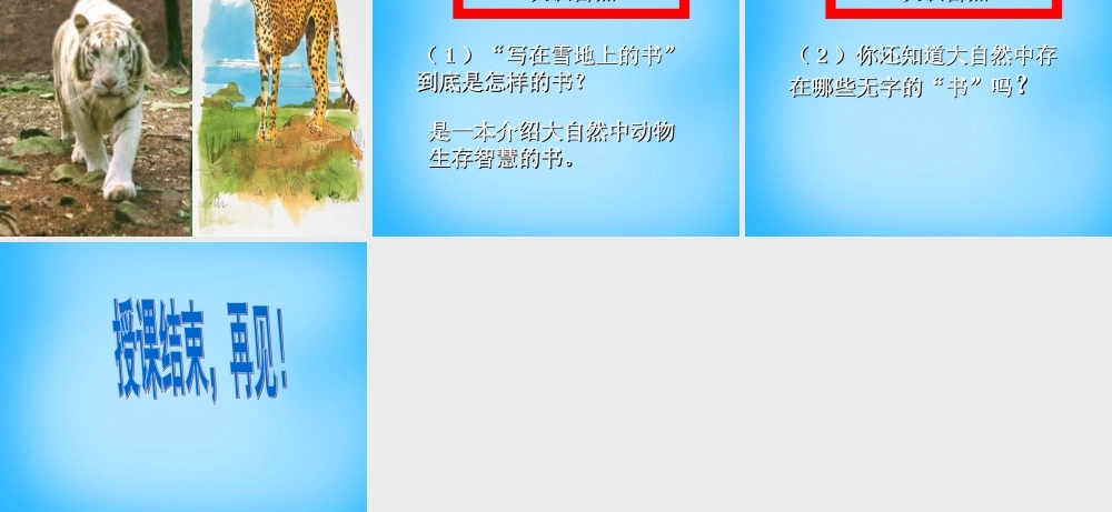 七年级语文上册 第四单元 第写在雪地上的书)课件 鄂教版 课件
