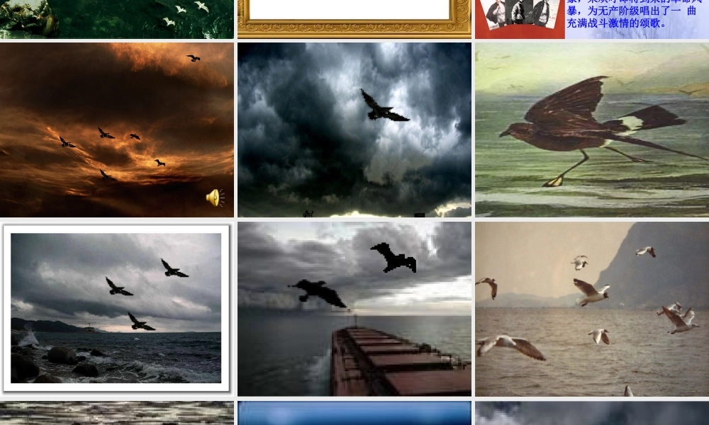 新人教版语文八年级下册海燕 八年级语文下册海燕课件(含flash)人教版 八年级语文下册海燕课件(含flash)人教版