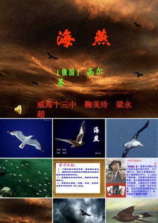 新人教版语文八年级下册海燕 八年级语文下册海燕课件(含flash)人教版 八年级语文下册海燕课件(含flash)人教版