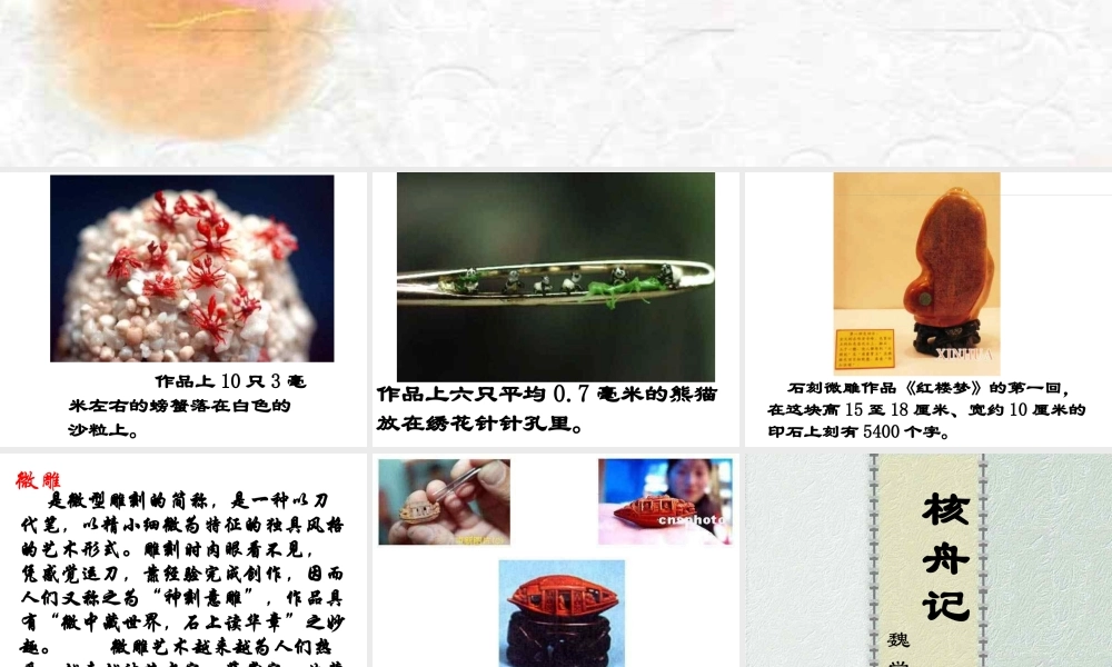 核舟记第三课时