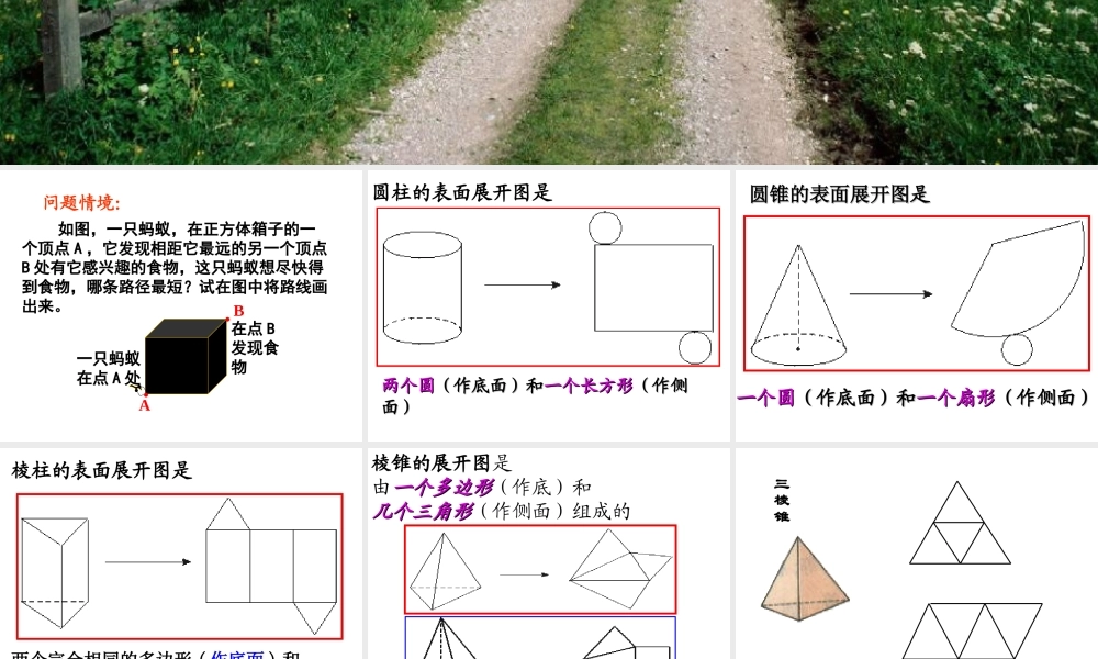 展开与折叠(1)PPT