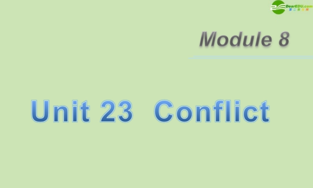 广东省高三英语第一轮总复习 Module8 Unit23 Conflict(1)课件 北师大版 新课标 课件