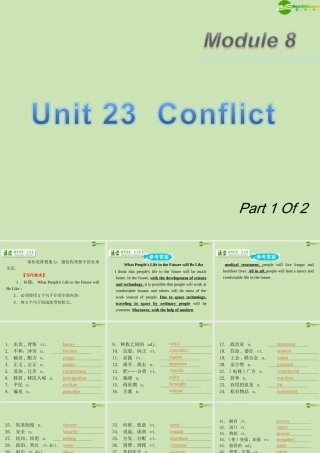 广东省高三英语第一轮总复习 Module8 Unit23 Conflict(1)课件 北师大版 新课标 课件