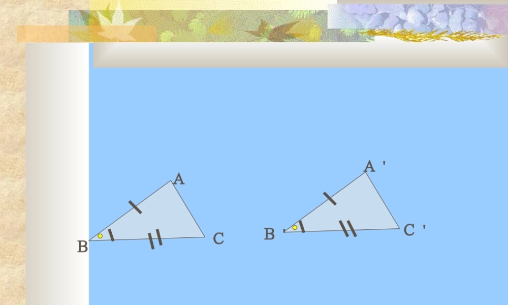 八年级数学下册 三角形的判定课件 青岛版 课件