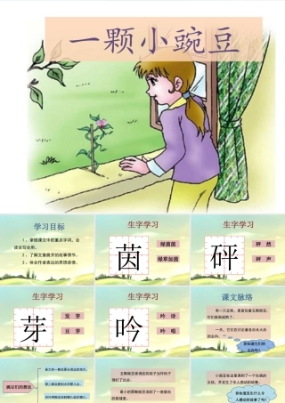 26.一颗小豌豆
