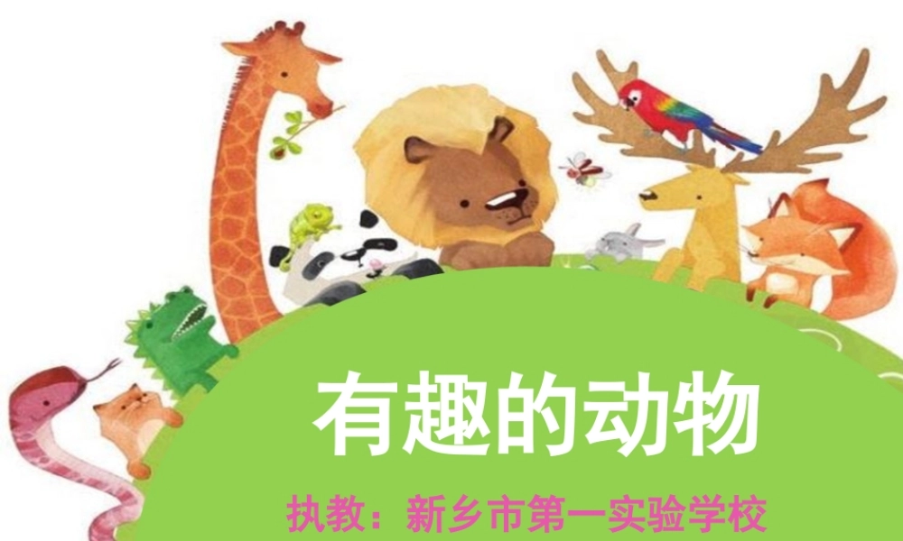 口语交际：有趣的动物