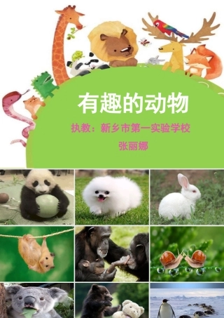 口语交际：有趣的动物