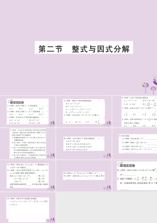 中考数学复习 第一轮 考点系统复习 第1章 数与式 第2节 整式与因式分解习题课件