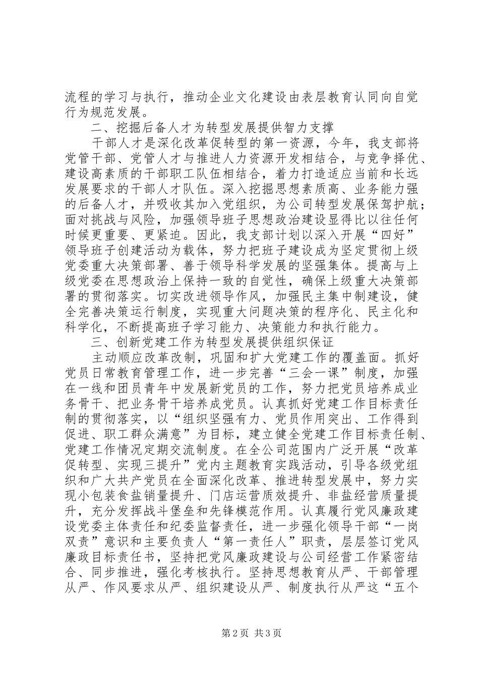 盐务局XX年支部工作计划_第2页