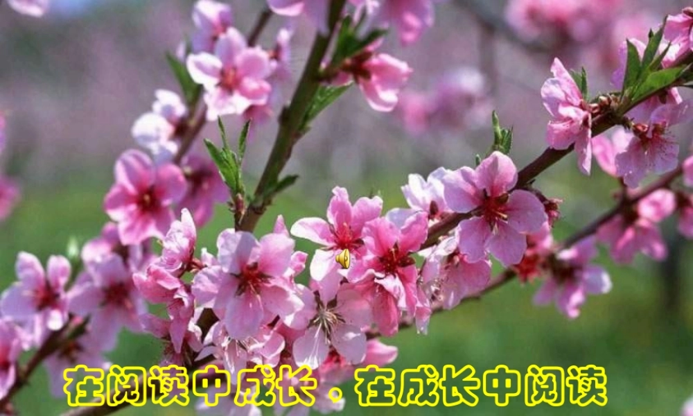 七年级语文上：第18课(古代神话六则)之夸父逐日 精卫填海 女娲补天 课件(长春版) 课件