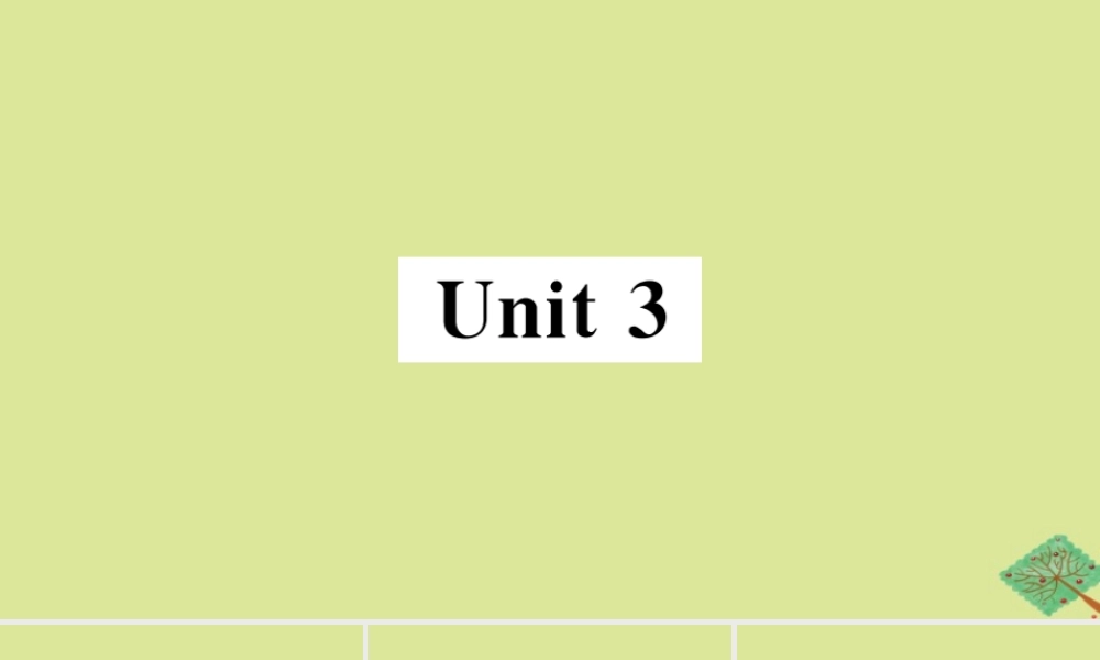 八年级英语上册 Module 8 Accidents Unit 3 Language in use(小册子)作业课件 (新版)外研版 课件