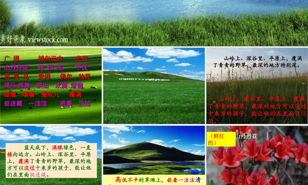 9锡林郭勒大草原