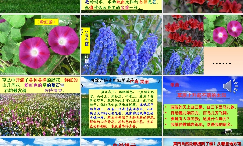 9锡林郭勒大草原