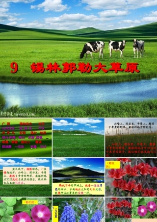 9锡林郭勒大草原