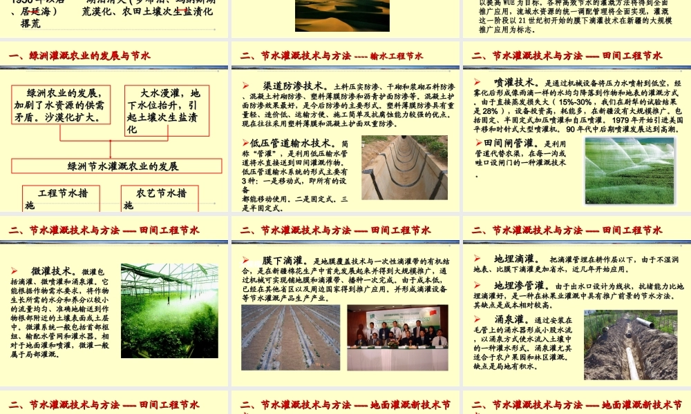 中国科学院新疆生态与地理研究所
