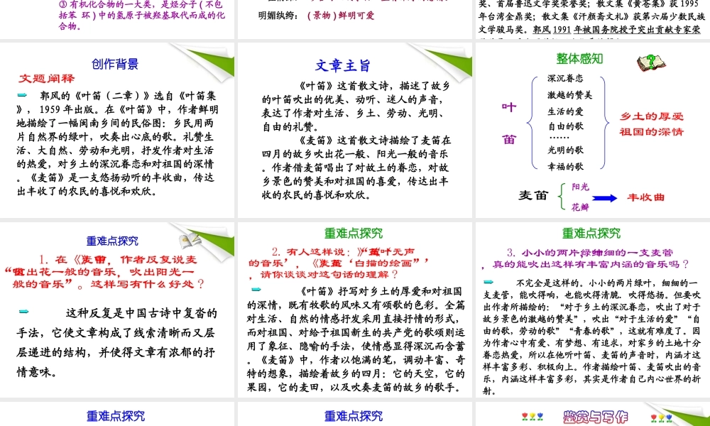 九年级语文上册 第4课(叶笛)课件 冀教版 课件