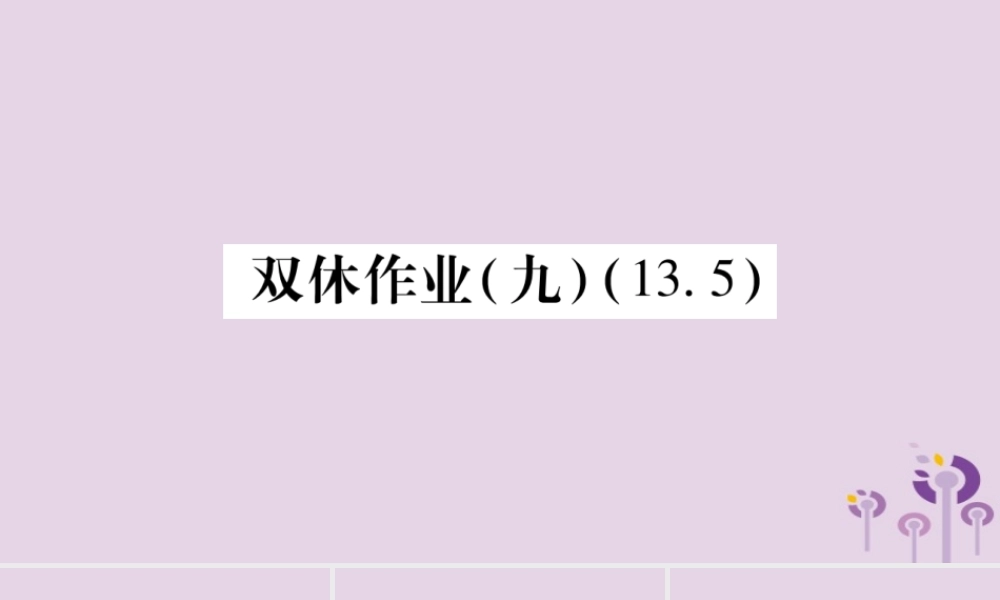 八年级数学上册 双休作业(九)课件 (新版)华东师大版 课件