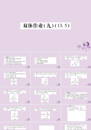 八年级数学上册 双休作业(九)课件 (新版)华东师大版 课件