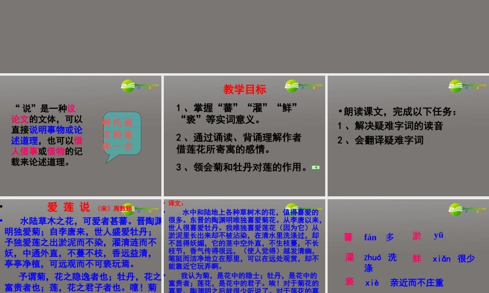 八年级语文上册 第五单元之(爱莲说)课件 新人教版 课件