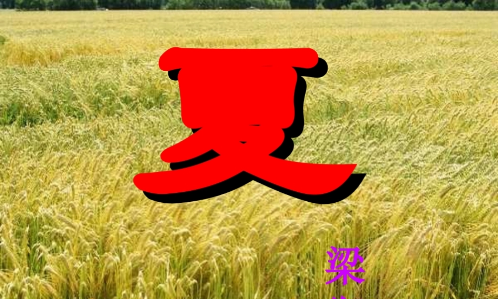 七年级语文上册 (夏)朗读课课件 人教新课标版 课件