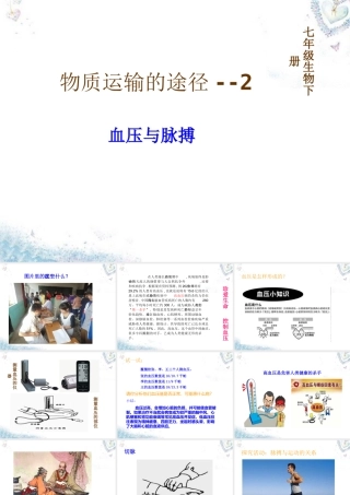 七年级生物下册 3.3.3 物质运输的途径课件(2)(新版)济南版 课件